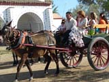 Paseo Caballo