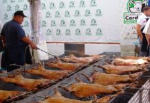 CORDEREX, MANJAR DE DIOSES PARA LA GASTRO STAR