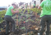 ESCUELA PROFESIONAL TENTUDÍA XL: AGRICULTURA ECOLÓGICA Y SOLIDARIDAD