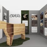museo capeas