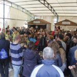 Feria Castaña