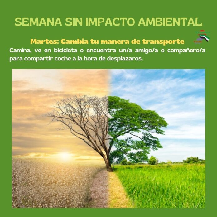 INFO 2