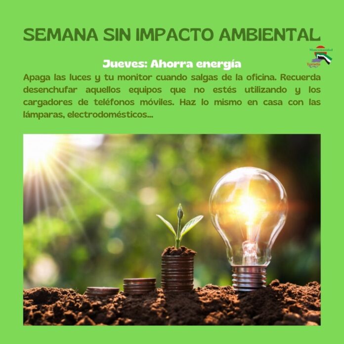 INFO 4
