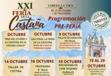 El Ayuntamiento de Cabeza la Vaca inicia los preparativos de la XXI Feria de la Castaña, que se inaugurará el 30 de octubre en la Casa de la Cultura